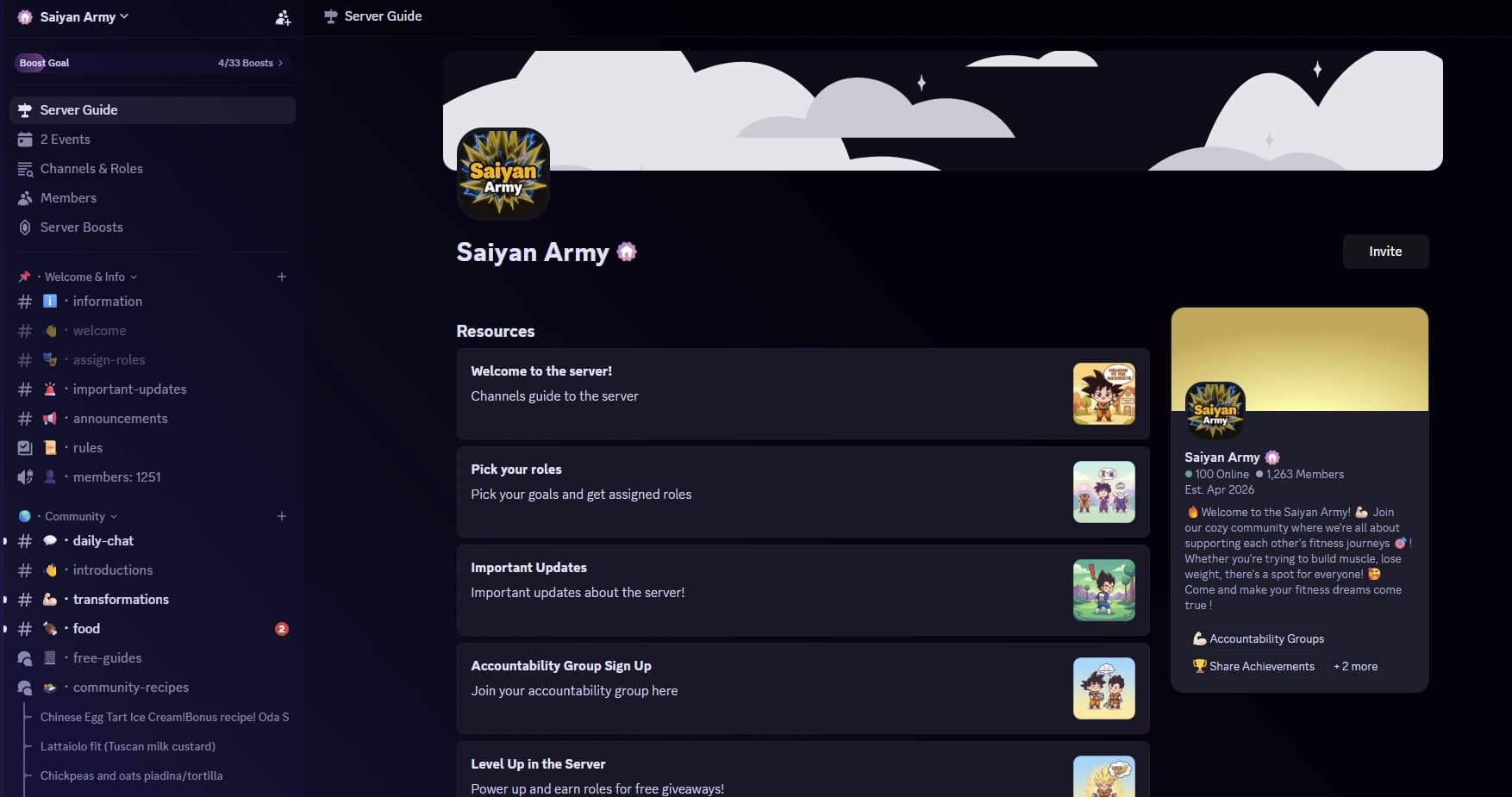 Server guide in the Discord server