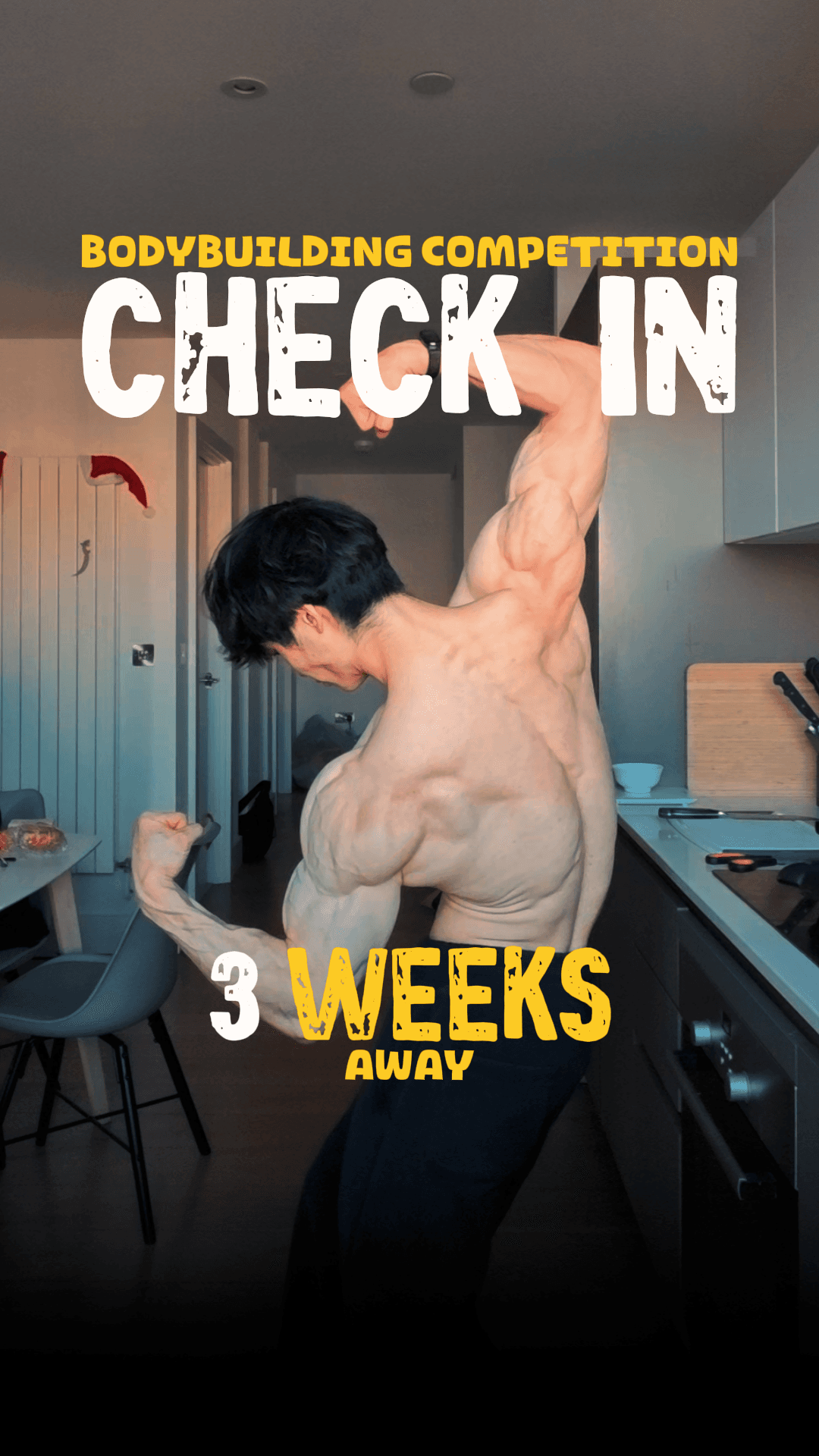 💪🏻 Bodybuilding Prep Series